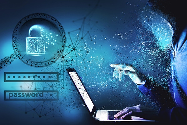 Alicita Computers Limited